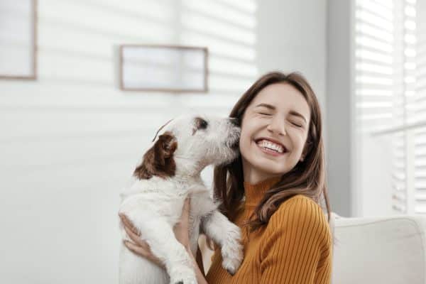 cane troppo affettuoso