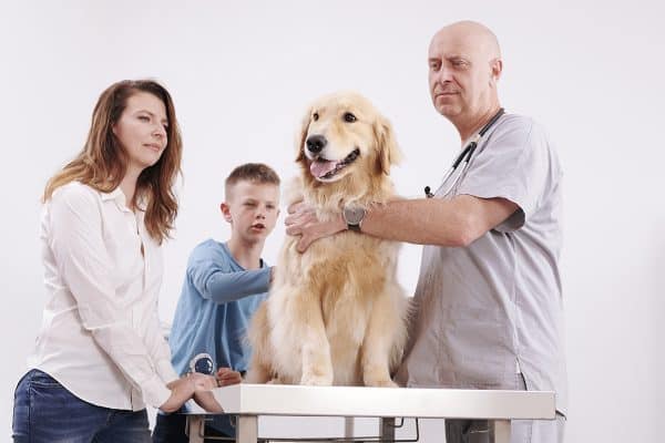 teleconsulto Ca' Zampa