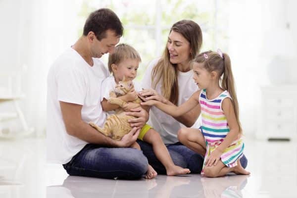 vivere con gatto benefici