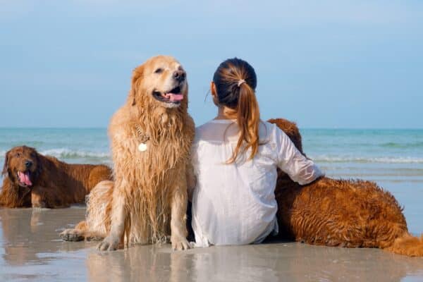 vacanza al mare con cane